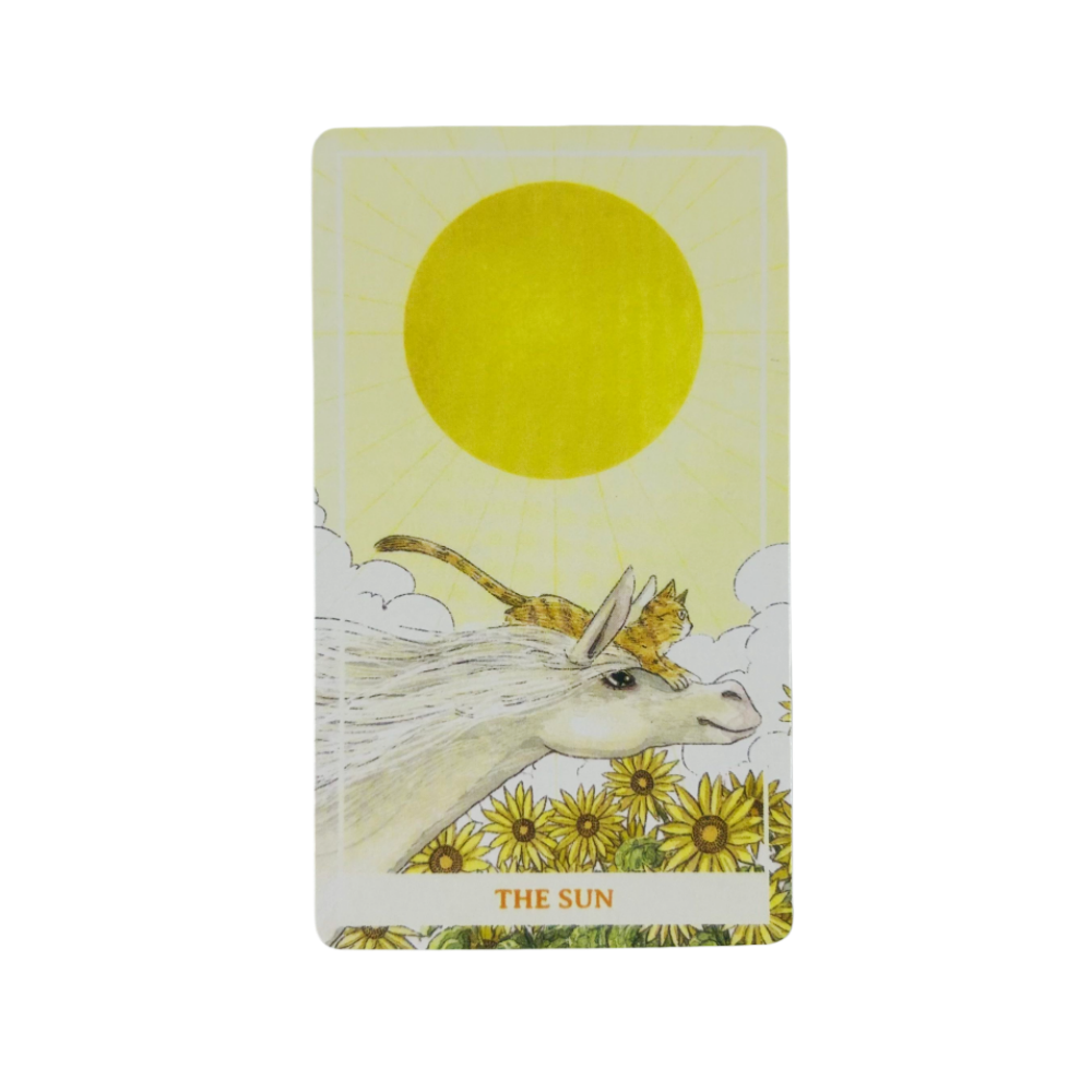 Güneşli Turuncu Kedi Tarot Des - Party Games Sunny incelemesi ve fiyatı